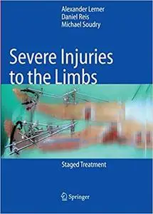 Severe Injuries to the Limbs: Staged Treatment