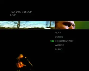 David Gray - Live (2001)