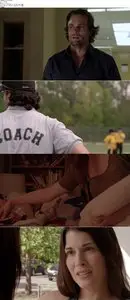Home Run (2013)