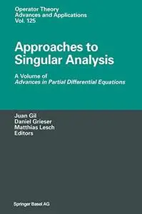 Approaches to Singular Analysis: A Volume of Advances in Partial Differential Equations (Repost)