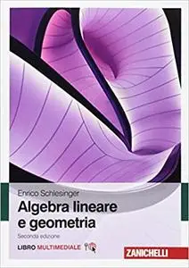 Enrico Schlesinger - Algebra lineare e geometria. Con e-book