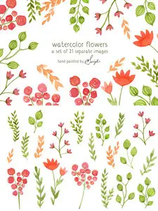 Watercolor Flowers - Floral Clipart PNG