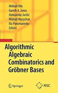 Algorithmic Algebraic Combinatorics and Gröbner Bases (Repost)