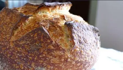 #1 Sourdough Bread Baking 101