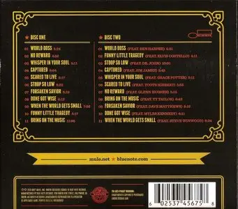 Gov't Mule - Shout! (2013)