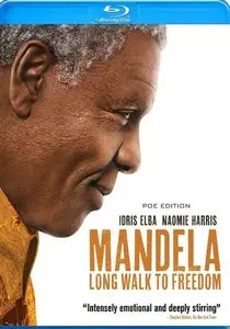 Mandela: Long Walk to Freedom (2013)