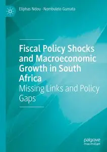 Fiscal Policy Shocks and Macroeconomic Growth in South Africa: Missing Links and Policy Gaps