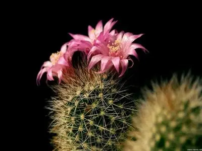 World In Photo 243