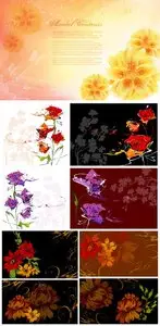 AS design 3
