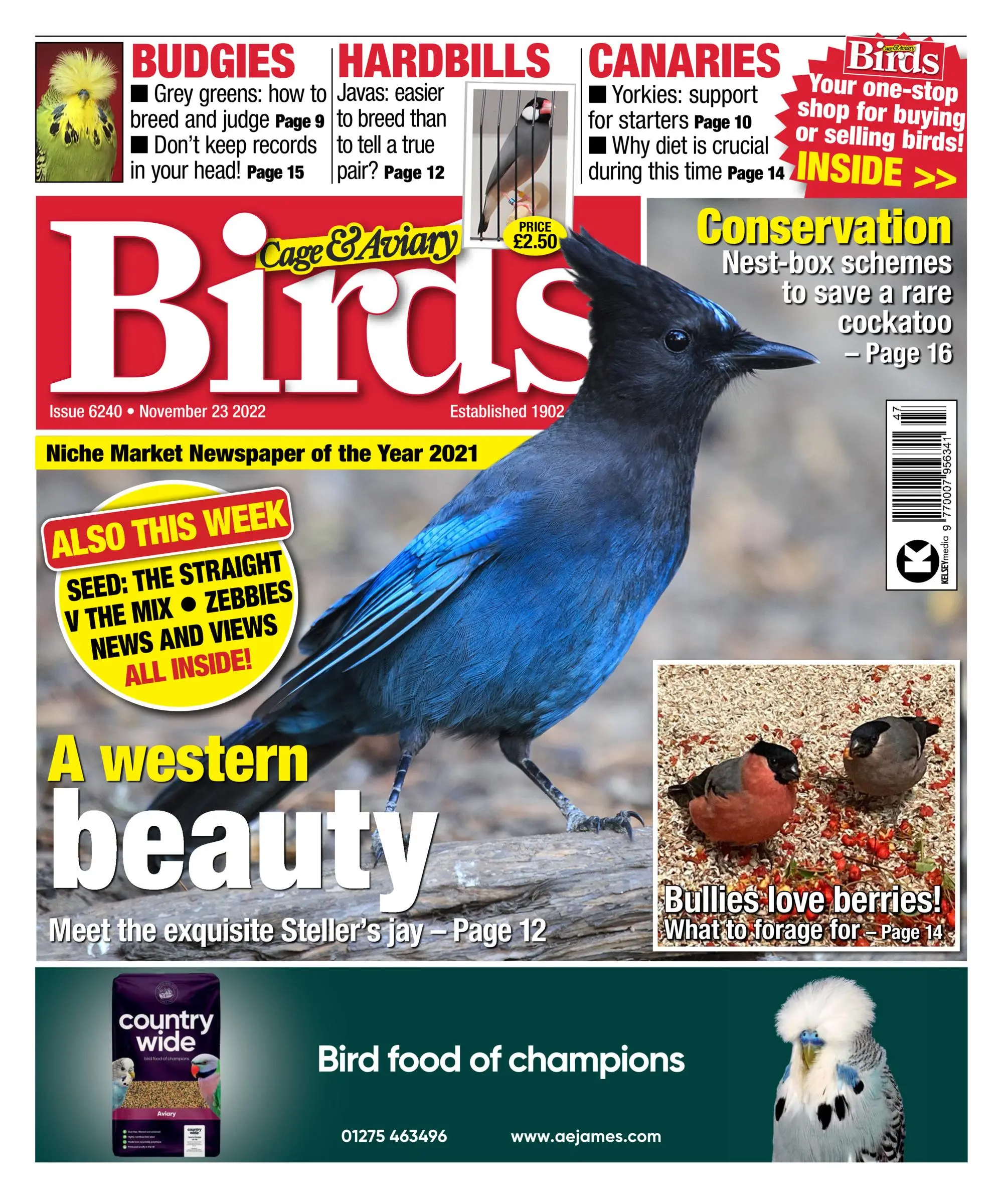 Cage & Aviary Birds – 23 November 2022