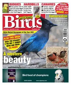 Cage & Aviary Birds – 23 November 2022