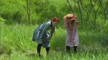 Anne of Green Gables (2016)