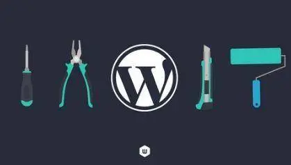 Wordpress für Beginner - Agenturwissen schnell und kompakt
