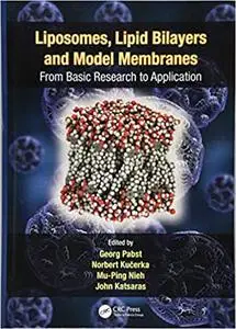 Liposomes, Lipid Bilayers and Model Membranes: From Basic Research to Application