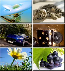 Amazing Desktop Wallpapers (7)