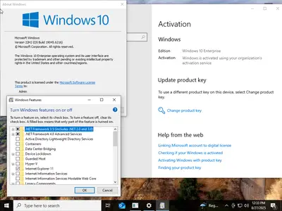 Windows 11 24H2 (No TPM Required) & Windows 10 22H2 AIO 32in1 With Office 2024 Pro Plus Multilingual Preactivated August 2025