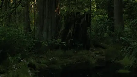 The Last of Us S02E06