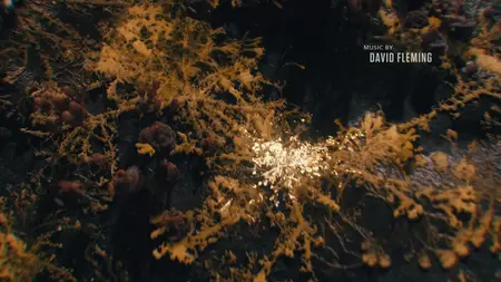 The Last of Us S02E06