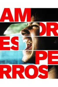Amores Perros (2000)