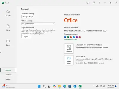 Windows 11 24H2 (No TPM Required) & Windows 10 22H2 AIO 31in1 With Office 2024 Pro Plus Multilingual Preactivated November 2024