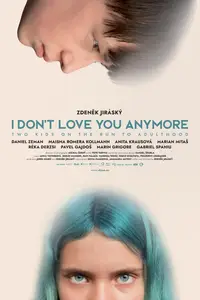 I Don't Love You Anymore (2024)