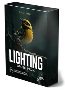 Zenz Lighting Brushes for Photoshop
