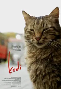 Oscilloscope Labs - Kedi/Cats of Istanbul (2016)