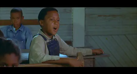 Sounder (1972)
