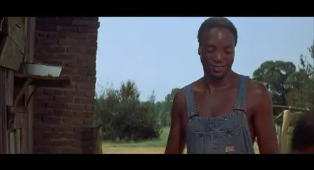 Sounder (1972)