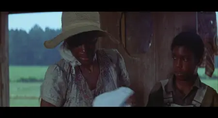 Sounder (1972)