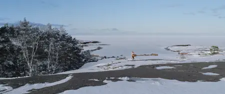 Myrskyluodon Maija / Stormskerry Maja (2024)