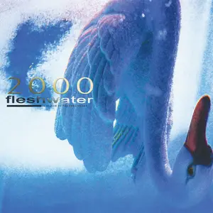 Fleshwater - 2000: In Search Of The Endless Sky (2025) [Official Digital Download 24/48]