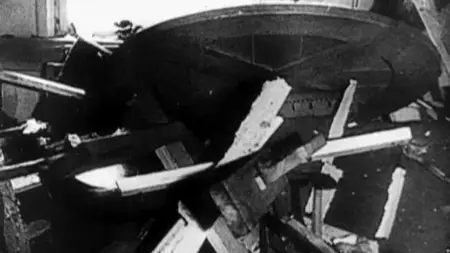 Dear Uncle Adolf: The Germans and Their Führer (2010)