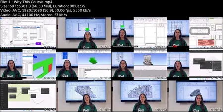 BIM Project Masterclass: Revit Architecture, Structure & MEP