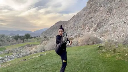 Wing Chun - Chum Kiu Video Program