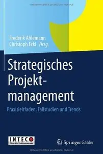 Strategisches Projektmanagement [Repost]