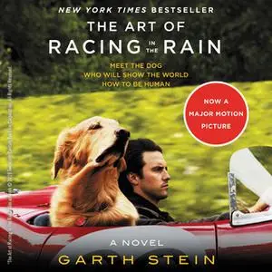 «The Art of Racing in the Rain» by Garth Stein