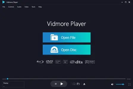 Vidmore Player 1.0.10 Multilingual Portable