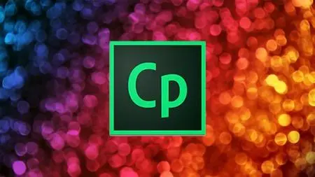 Adobe Captivate - Responsive Custom Quiz Questions