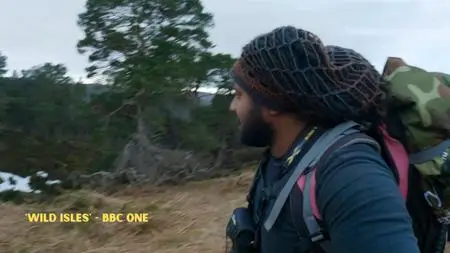 BBC - Hamza: Strictly Birds of Prey (2023)