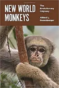 New World Monkeys: The Evolutionary Odyssey