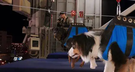 Show Dogs - Entriamo in scena (2018)