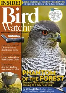 Bird Watching UK - February 2016