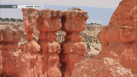 NHK Great Nature - The Great Canyons of America (2013)