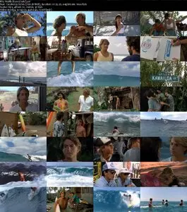 North Shore (1987)