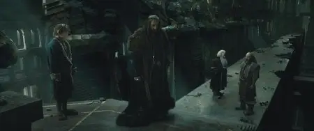 The Hobbit: The Battle of the Five Armies / Хоббит: Битва пяти воинств (2014)