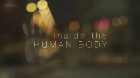 BBC - Inside the Human Body - Best of Series (2011)