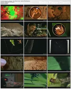 Discovery Channel - Ultimate Guide: Spiders (1998)
