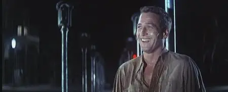 Cool Hand Luke (1967)