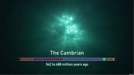 NOVA S40E15 - Australia’s First 4 Billion Years: Awakening (2013)